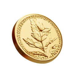 I’m a legal/FINANCE professional